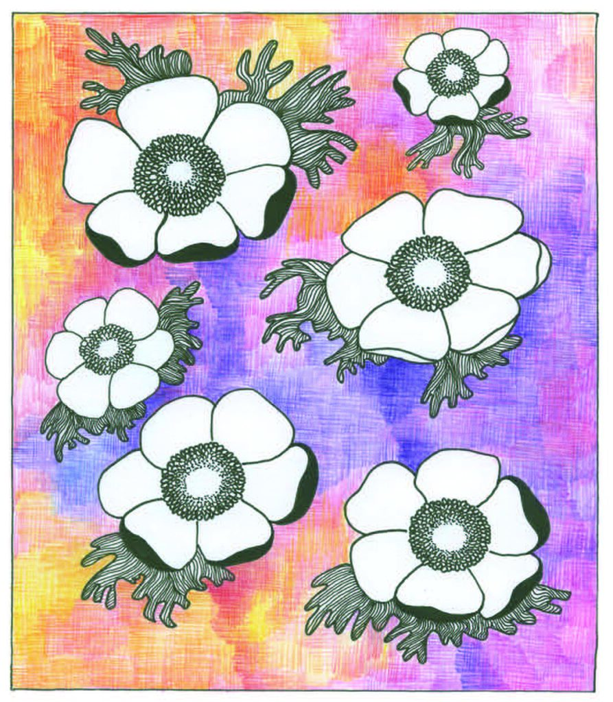 Die Abbildung zeigt einige stilisierte Anemonenblüten auf farbigem Hintergrund