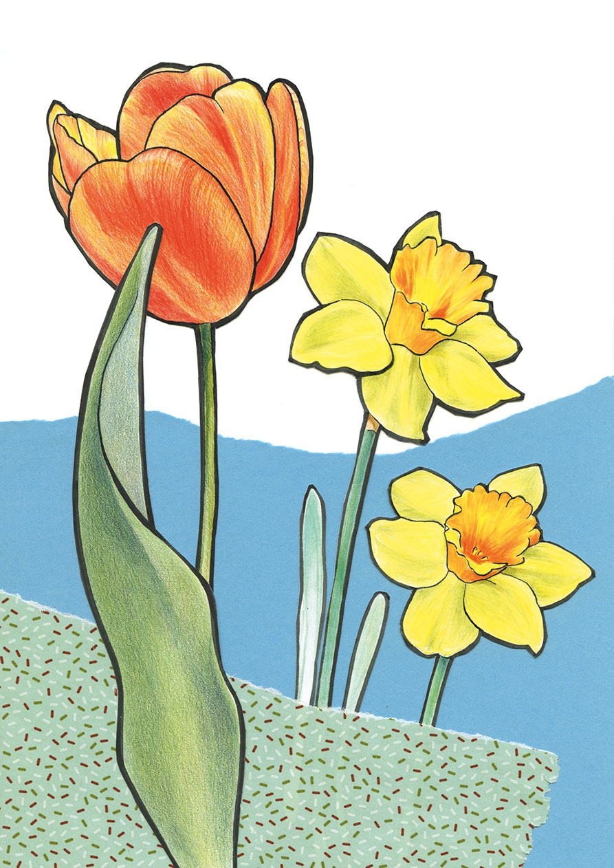 Die Abbildung zeigt eine Collage aus gezeichneten Blumen und Farbpapieren aus der Zeitschrift Freude am Zeichnen und Malen Ausgabe 73