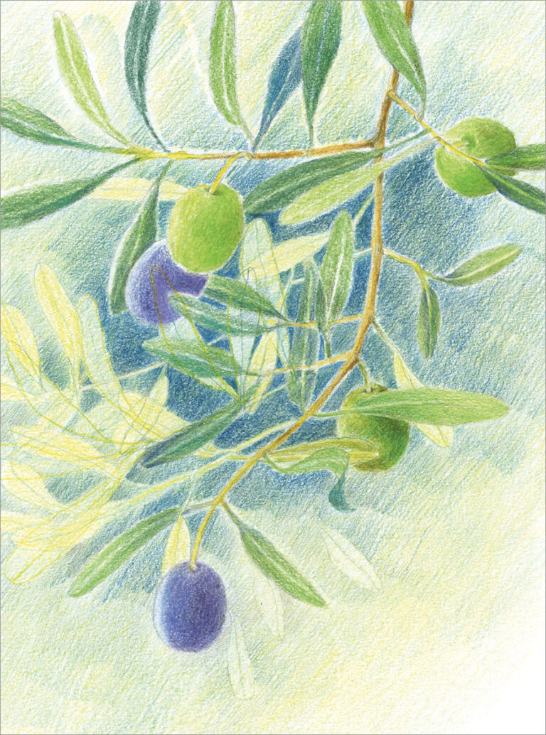 Bild Inspiration (Olivenzweig) von Hanne Türk) aus Freude am Zeichnen & Malen Nr. 81