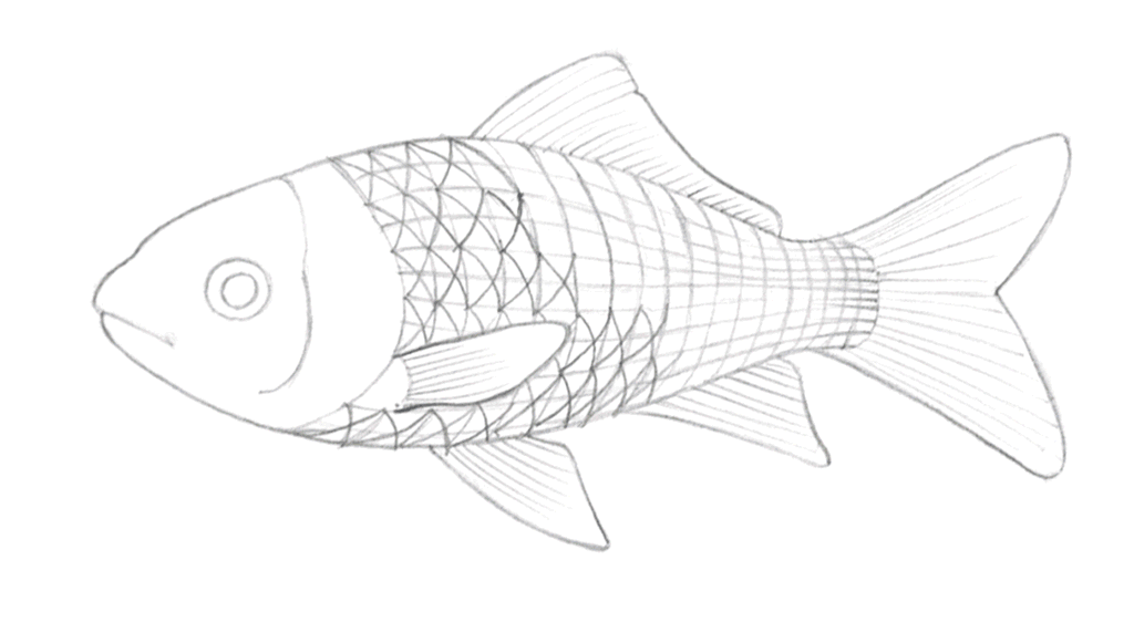 Die Abbildung zeigt den schrittweisen Aufbau eines Goldfischs gezeichnet mit Bleistift, mit Aquarellfarben gemalt und mit Farbstift ergänzt. Aus der Zeitschrift Freude am Zeichnen & Malen Ausgabe 84.