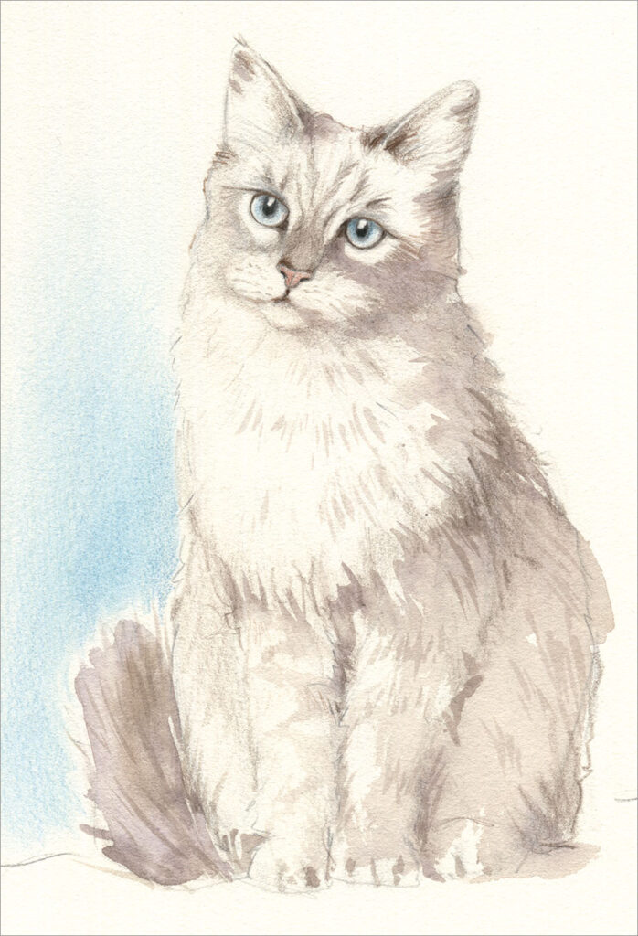 Die Abbildung zeigt eine sitzende Katze gemalt in Aquarell und mit Farbstift ergänzt. Aus Freude am Zeichnen & Malen Nr. 85.