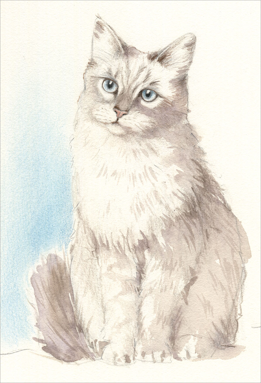 Die Abbildung zeigt eine sitzende Katze gemalt in Aquarell und mit Farbstift ergänzt. Aus Freude am Zeichnen & Malen Nr. 85.