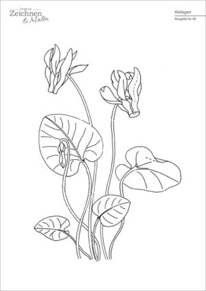 Die Abbildung zeigt die Zeichenvorlage für das Projekt "Zyklame im alten Stil" aus der Zeitschrift Freude am Zeichnen & Malen Ausgabe 85