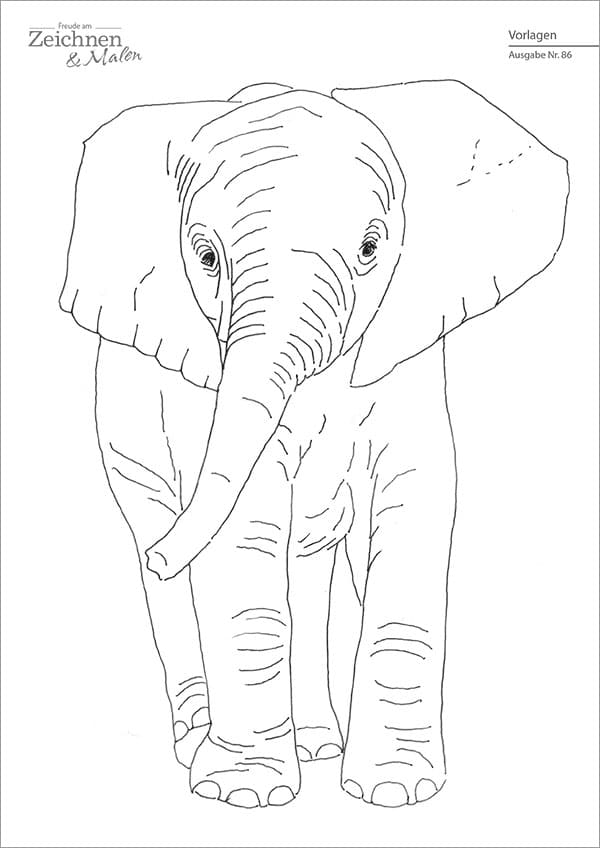 Die Abbildung zeigt die Zeichenvorlage für das Projekt "Willkommen im Zeichenzoo" aus der Zeitschrift Freude am Zeichnen & Malen Ausgabe 86.