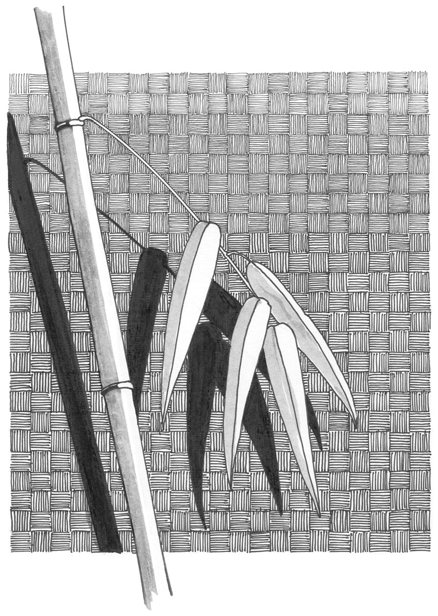 Die Abbildung zeigt eine grafische reduzierte Zeichnung eines Bambusstabs mit einem dünnen Zweig mit hellen Blättern vor einem strukturiert gezeichneten Hintergrund. Das Bild entstand in einer Multitechnik aus Fineliner, Brushpen und Bleistift. Aus der Zeitschrift Freude am Zeichnen & Malen Nr. 87.