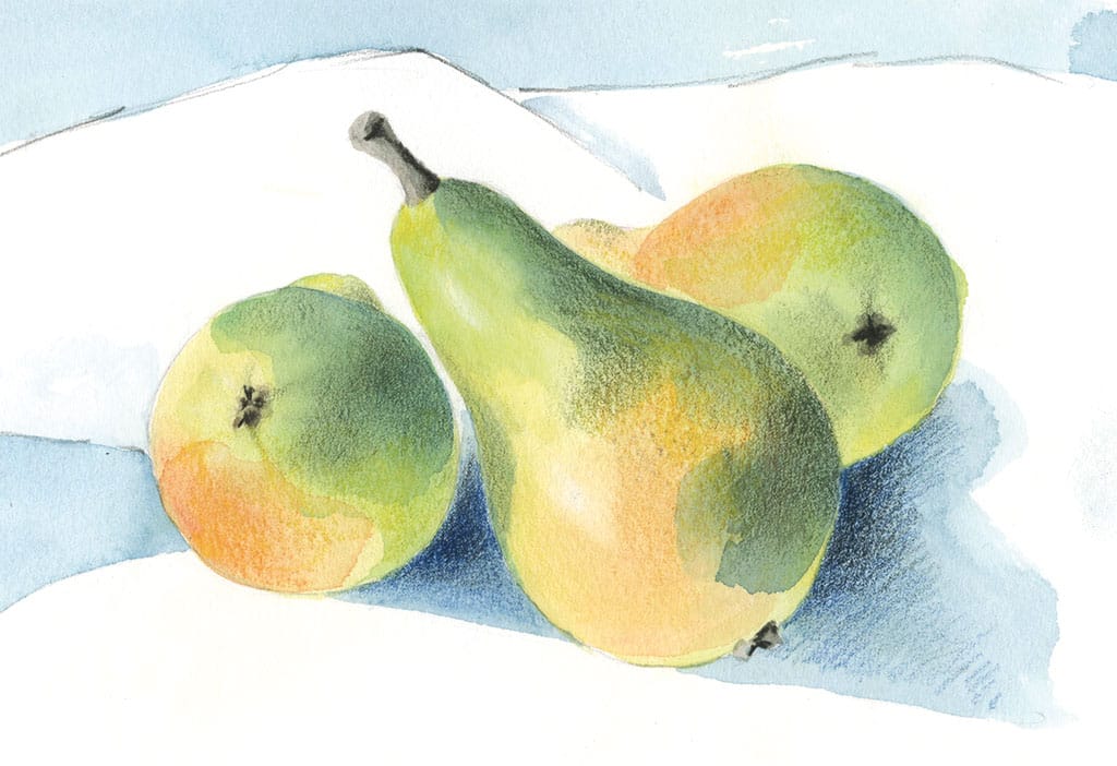 Die Abbildung zeigt Birnen auf einem Tuch gemalt mit  Aquarell ergänzt mit  Farbstift.