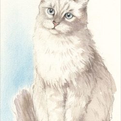 Die Abbildung zeigt eine sitzende Katze gemalt in Aquarell und mit Farbstift ergänzt. Aus Freude am Zeichnen & Malen Nr. 85.