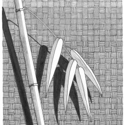 Die Abbildung zeigt eine grafische reduzierte Zeichnung eines Bambusstabs mit einem dünnen Zweig mit hellen Blättern vor einem strukturiert gezeichneten Hintergrund. Das Bild entstand in einer Multitechnik aus Fineliner, Brushpen und Bleistift. Aus der Zeitschrift Freude am Zeichnen & Malen Nr. 87.